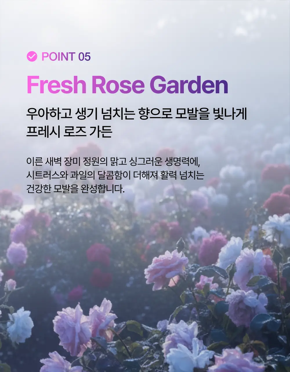 [1회 만에 손상모 개선] 프롬랩스 단백질 흡착 샴푸 500ml (노설페이트) 상세페이지 32
